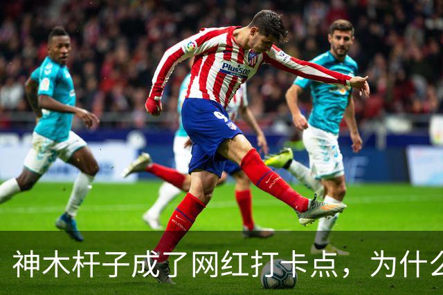 神木杆子成了网红打卡点，为什么要围起来？